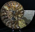Large Split Ammonite Pair - Crystal Pockets #19216-2